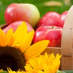 iStock_000017530737XSmall